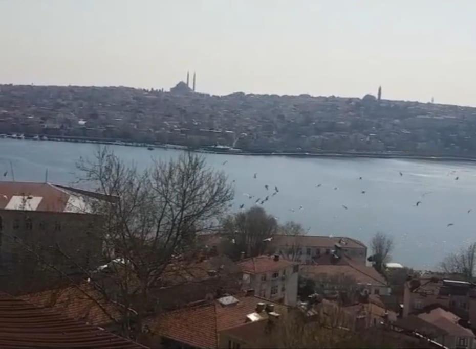 Appartement Deniz Manzarasi, Marti Sesleri Esliginde Istambul Extérieur photo